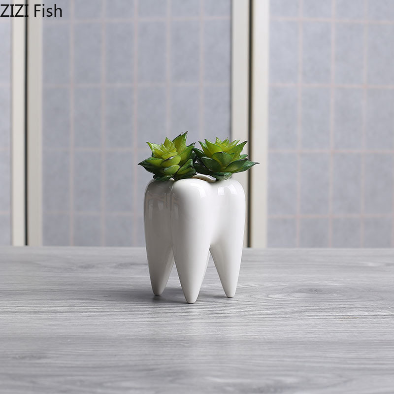 Echeveria Succulent - Tooth Shaped Ceramic Flower Pot Flower