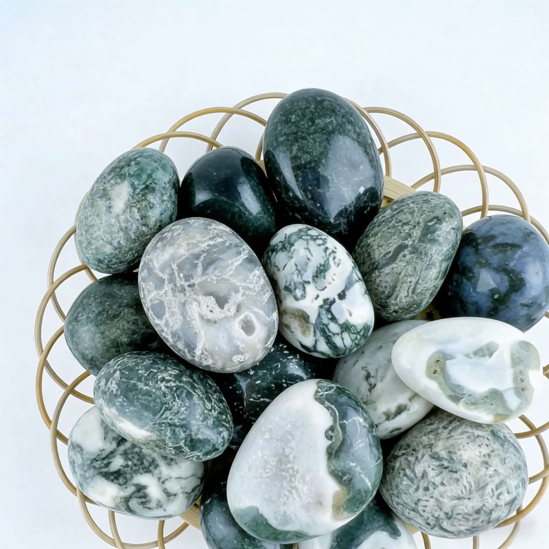 Natural Moss Agate Crushed Sto - đánh giá và giá Echeveria Succulent