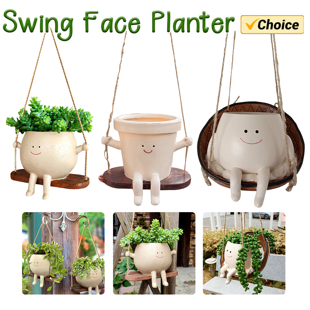 Plant Hanger Baskets Lovely Sw - đánh giá và giá Echeveria Succulent