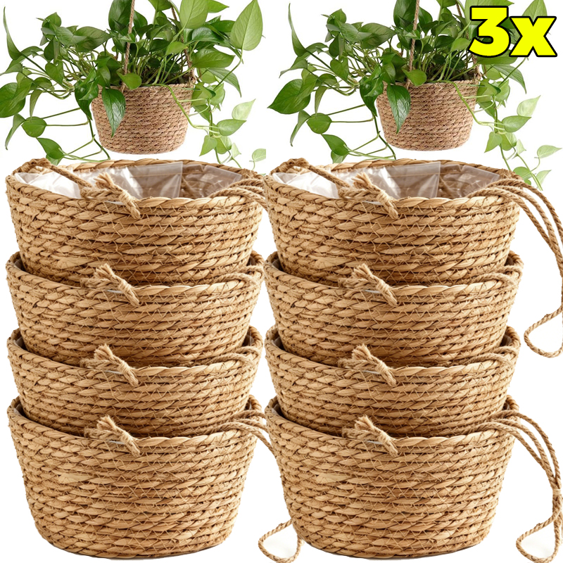 1/3x Rope Hanging Planter Bask - đánh giá và giá Spider Plant Hanging