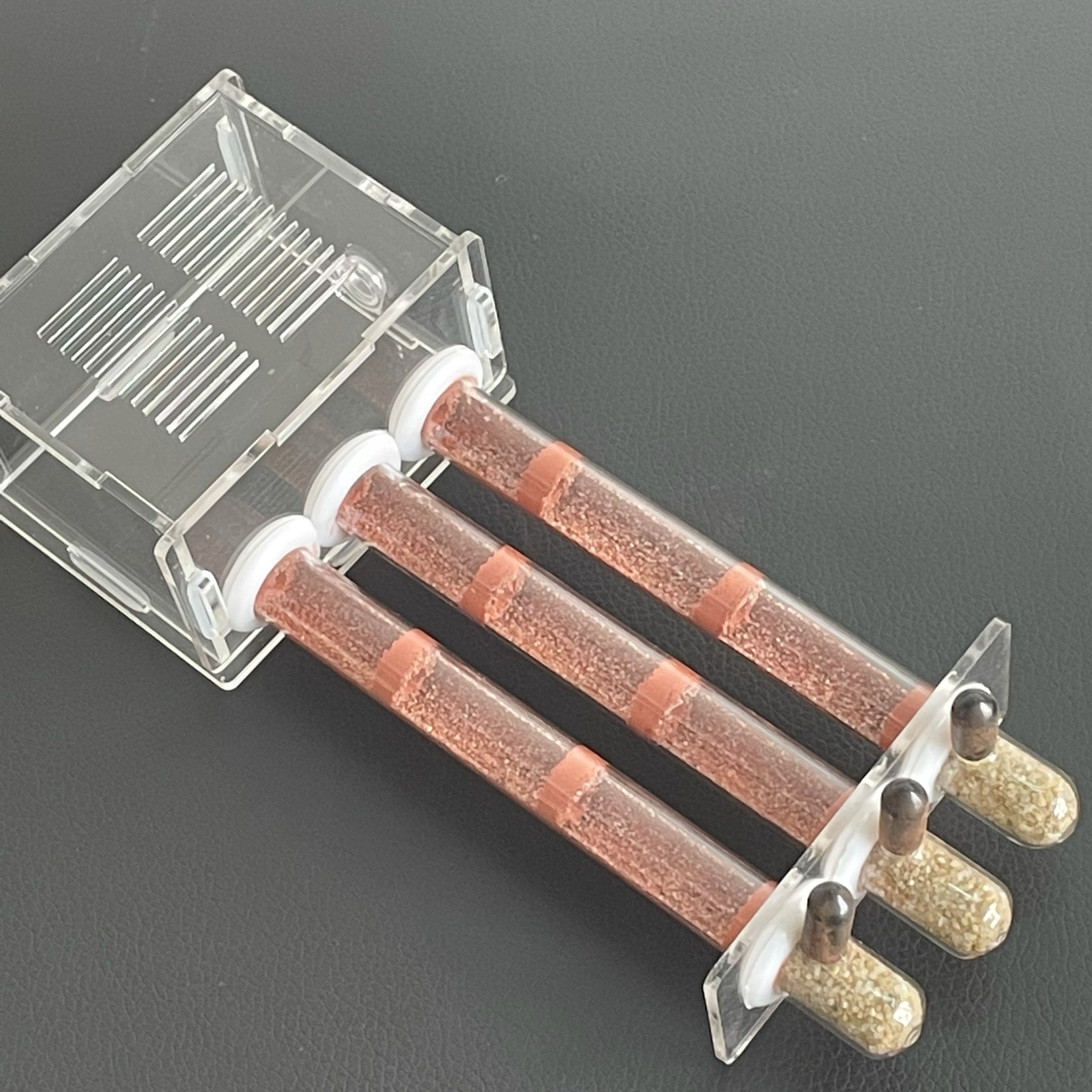 15-150mm Gypsum Test Tube Nest - đánh giá và giá Begonia Rex