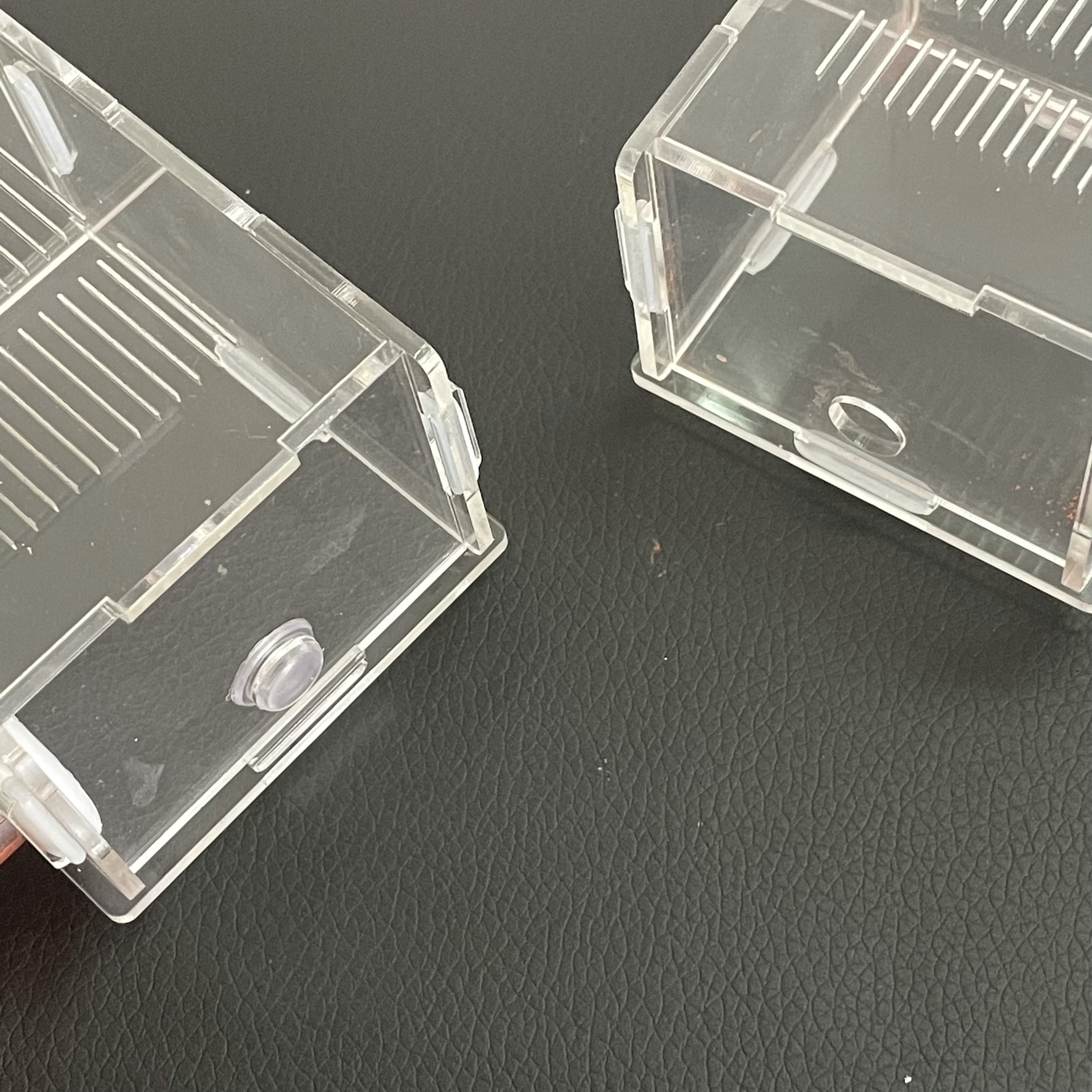 15-150mm Gypsum Test Tube Nest - đánh giá và giá Begonia Rex