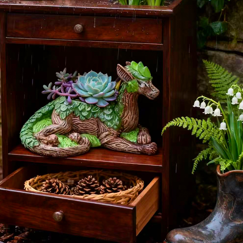 Creative Dragon Tree Flower Po - đánh giá và giá Echeveria Succulent