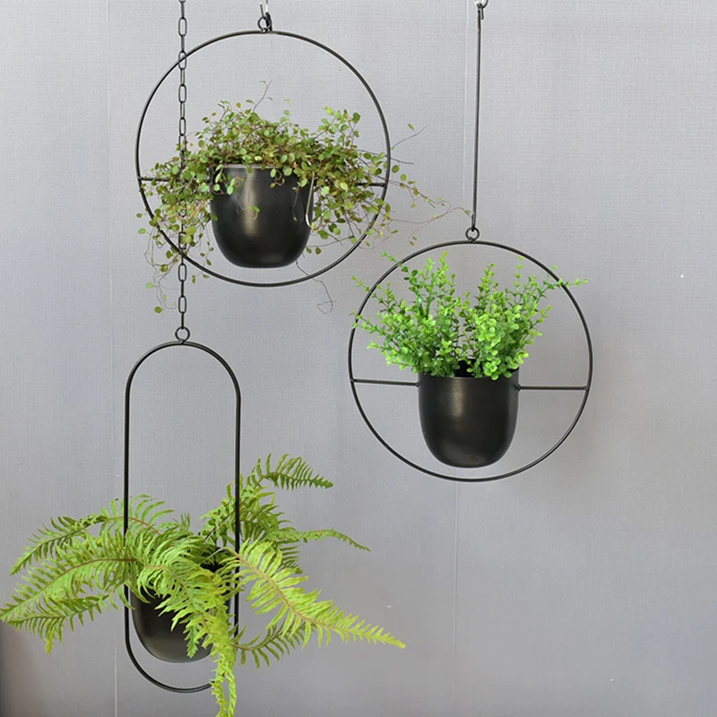 Wrought Iron Hanging Planter E - đánh giá và giá Spider Plant Hanging