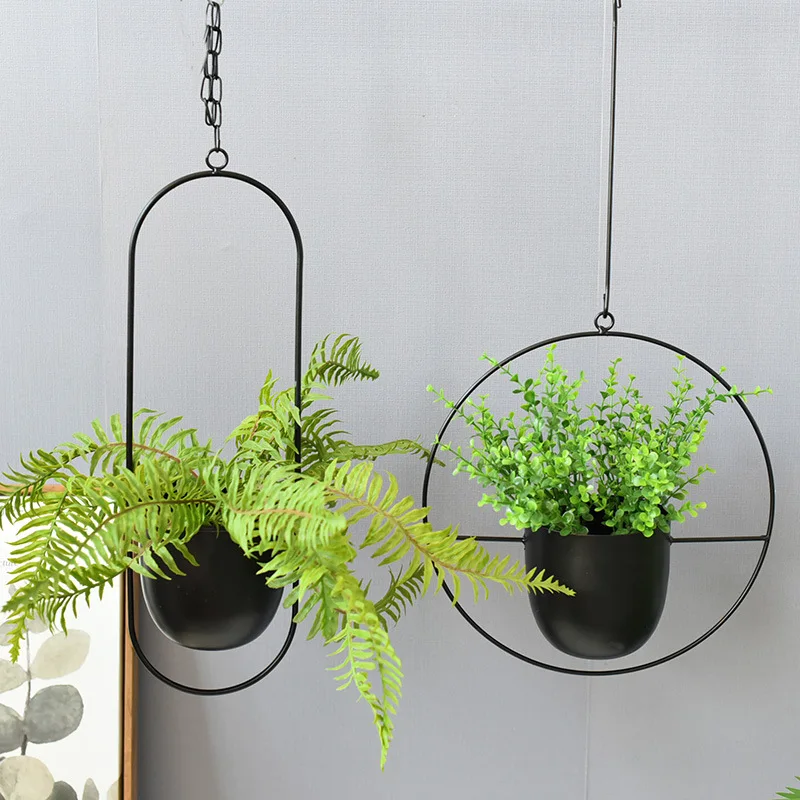 Wrought Iron Hanging Planter E - đánh giá và giá Spider Plant Hanging