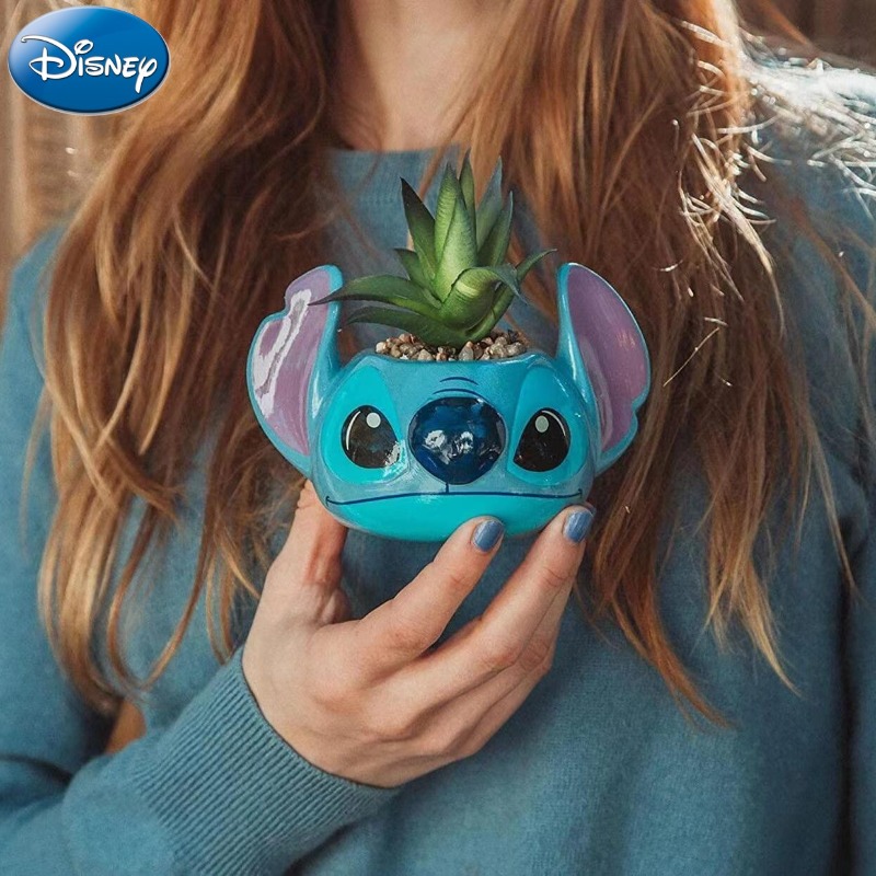 Disney Stitch Decorations Cute - đánh giá và giá Echeveria Succulent