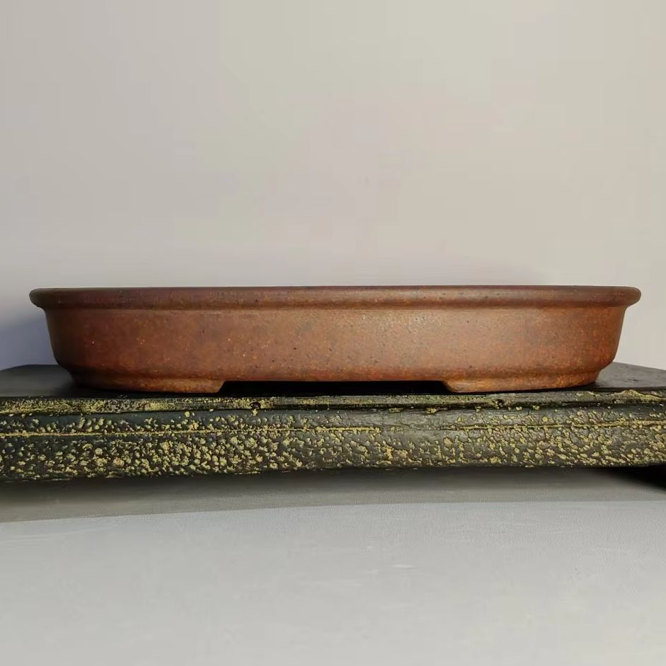 Oval Shaped Unglazed Shallow f - đánh giá và giá Pilea Peperomioides