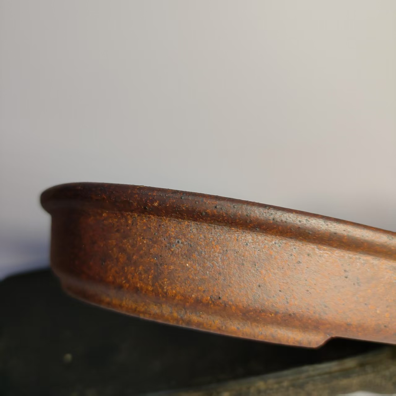 Oval Shaped Unglazed Shallow f - đánh giá và giá Pilea Peperomioides