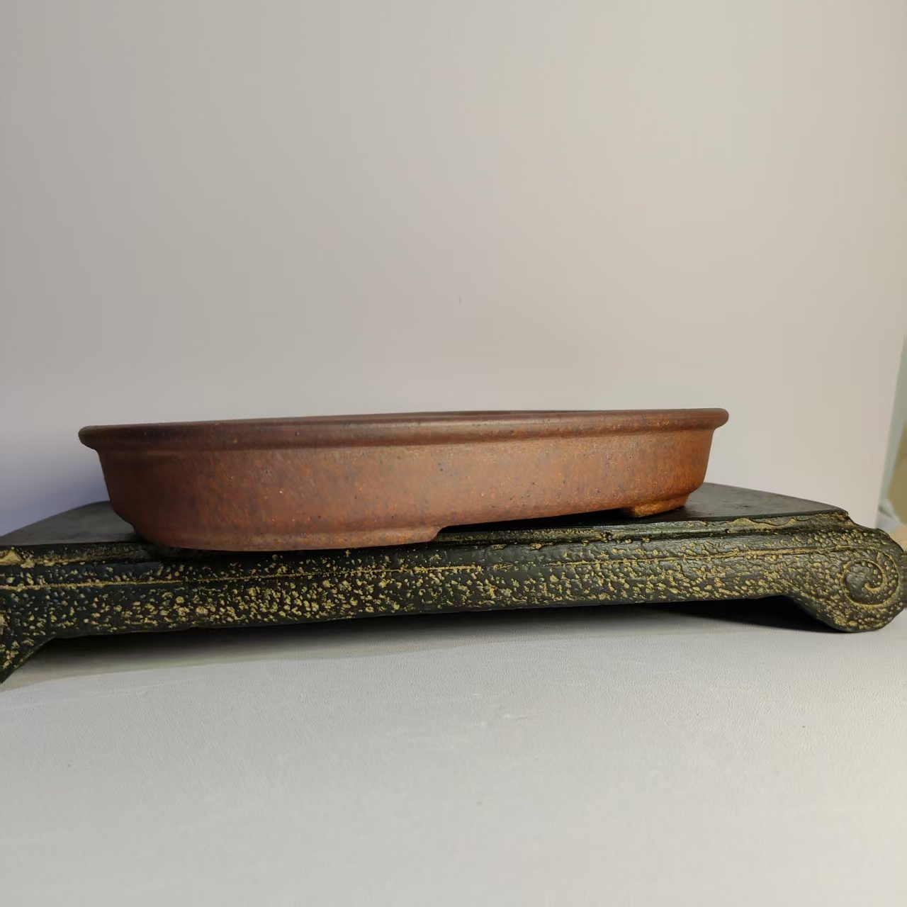 Oval Shaped Unglazed Shallow f - đánh giá và giá Pilea Peperomioides