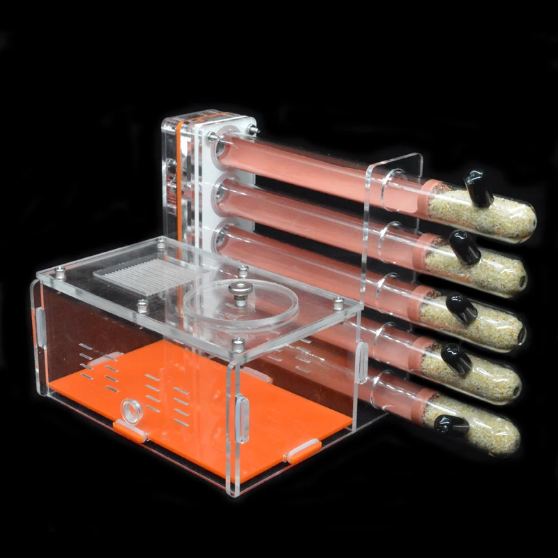 DIY Acrylic Ant Farm 5 pcs 18- - đánh giá và giá Begonia Rex