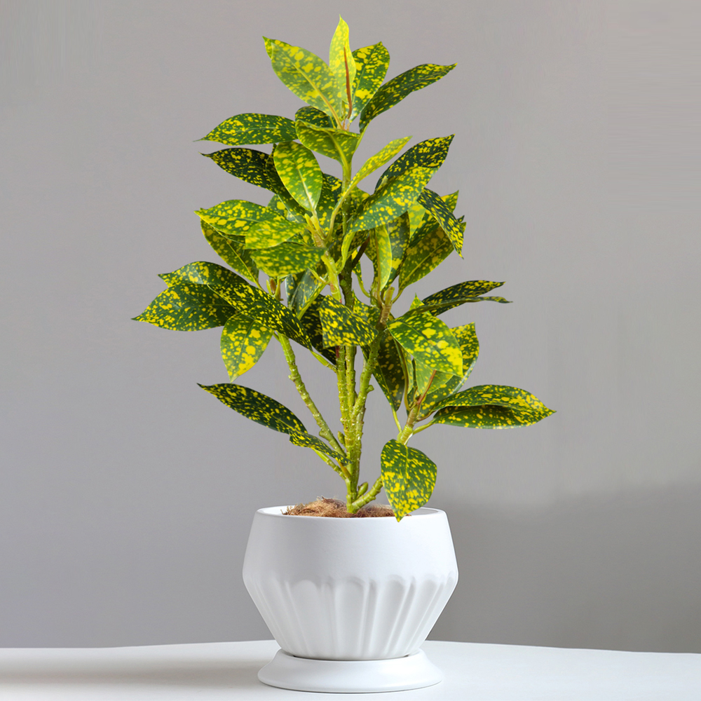 24-41cm Artificial Ficus Tree  - đánh giá và giá Ficus Lyrata Tree