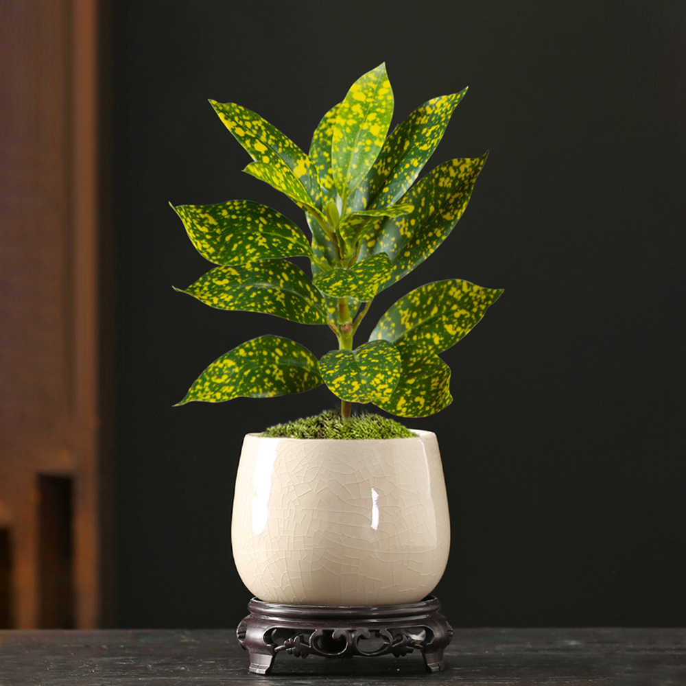 24-41cm Artificial Ficus Tree  - đánh giá và giá Ficus Lyrata Tree