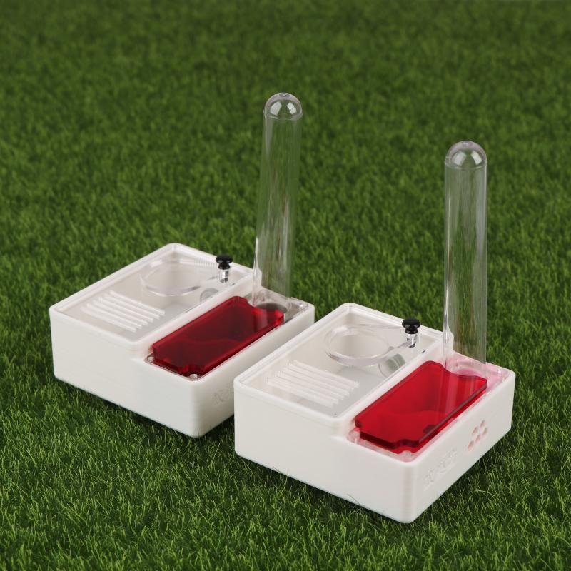 【Peace】3D Printed Ant Farm Que - đánh giá và giá Begonia Rex