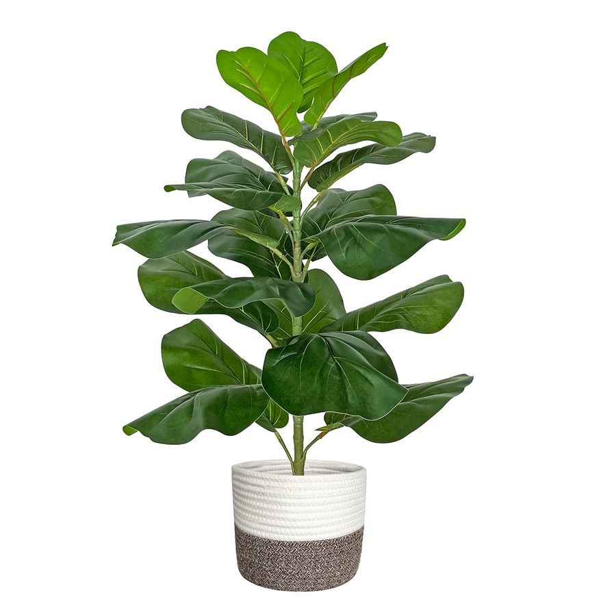 Artificial Fiddle Leaf Fig Tre - đánh giá và giá Ficus Lyrata Tree