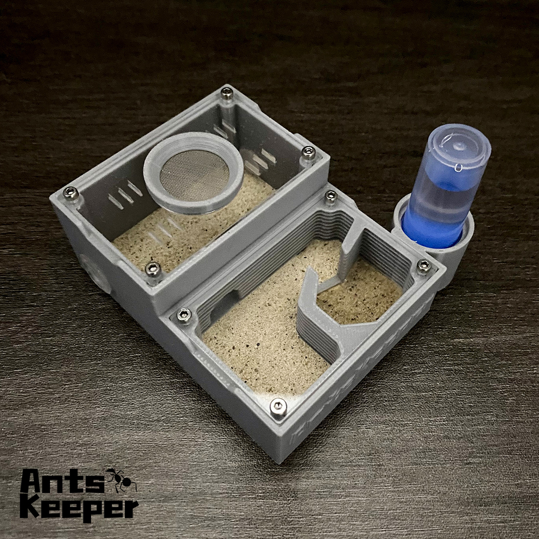 【One Section】Flat Ant Farm for - đánh giá và giá Begonia Rex