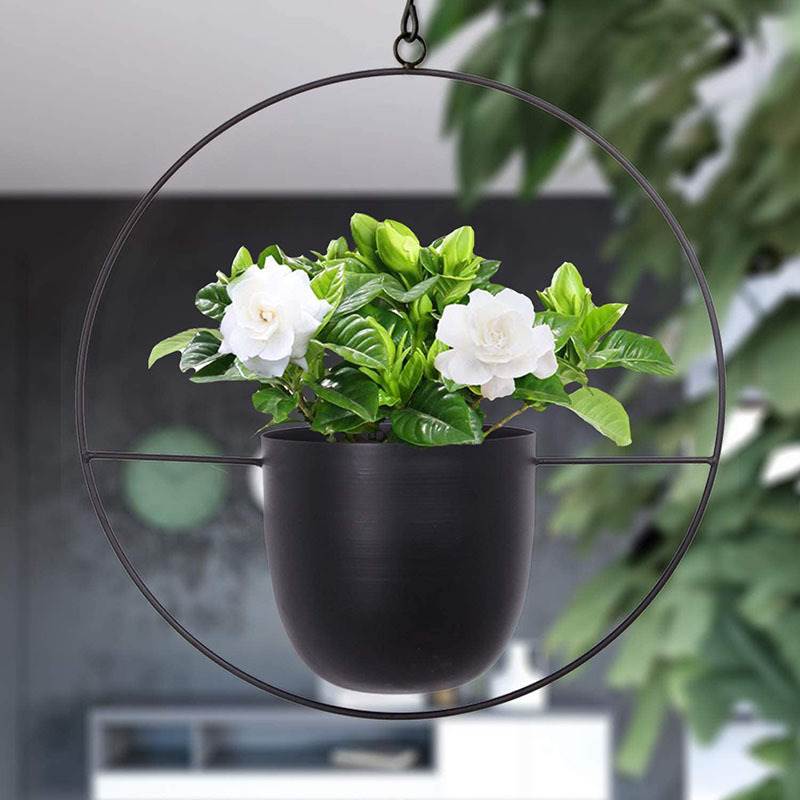 Hanging Iron Art Plant Pots Ba - đánh giá và giá Spider Plant Hanging