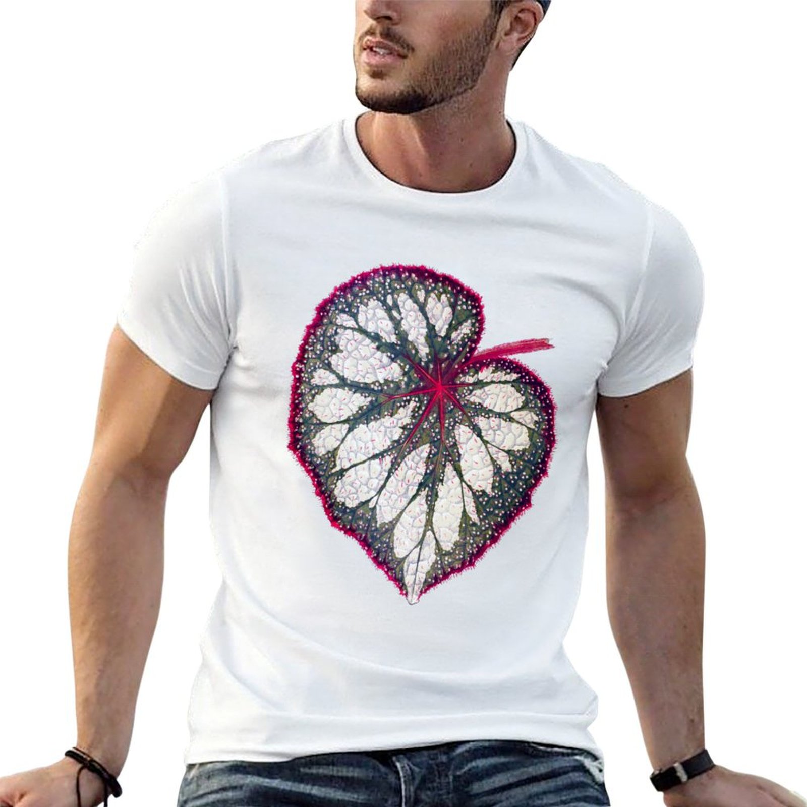 Begonia rex T-Shirt man graphi - đánh giá và giá Begonia Rex