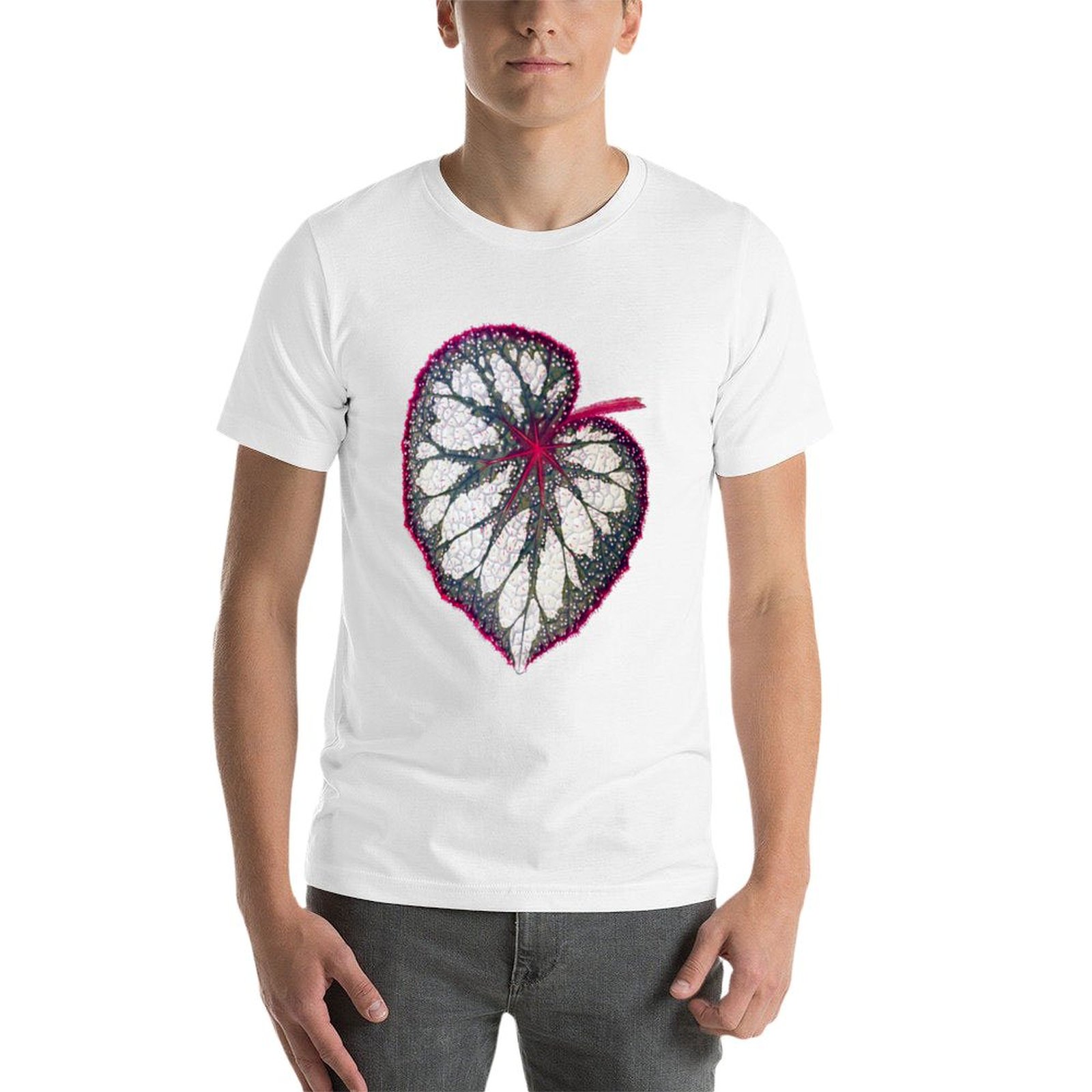 Begonia rex T-Shirt man graphi - đánh giá và giá Begonia Rex
