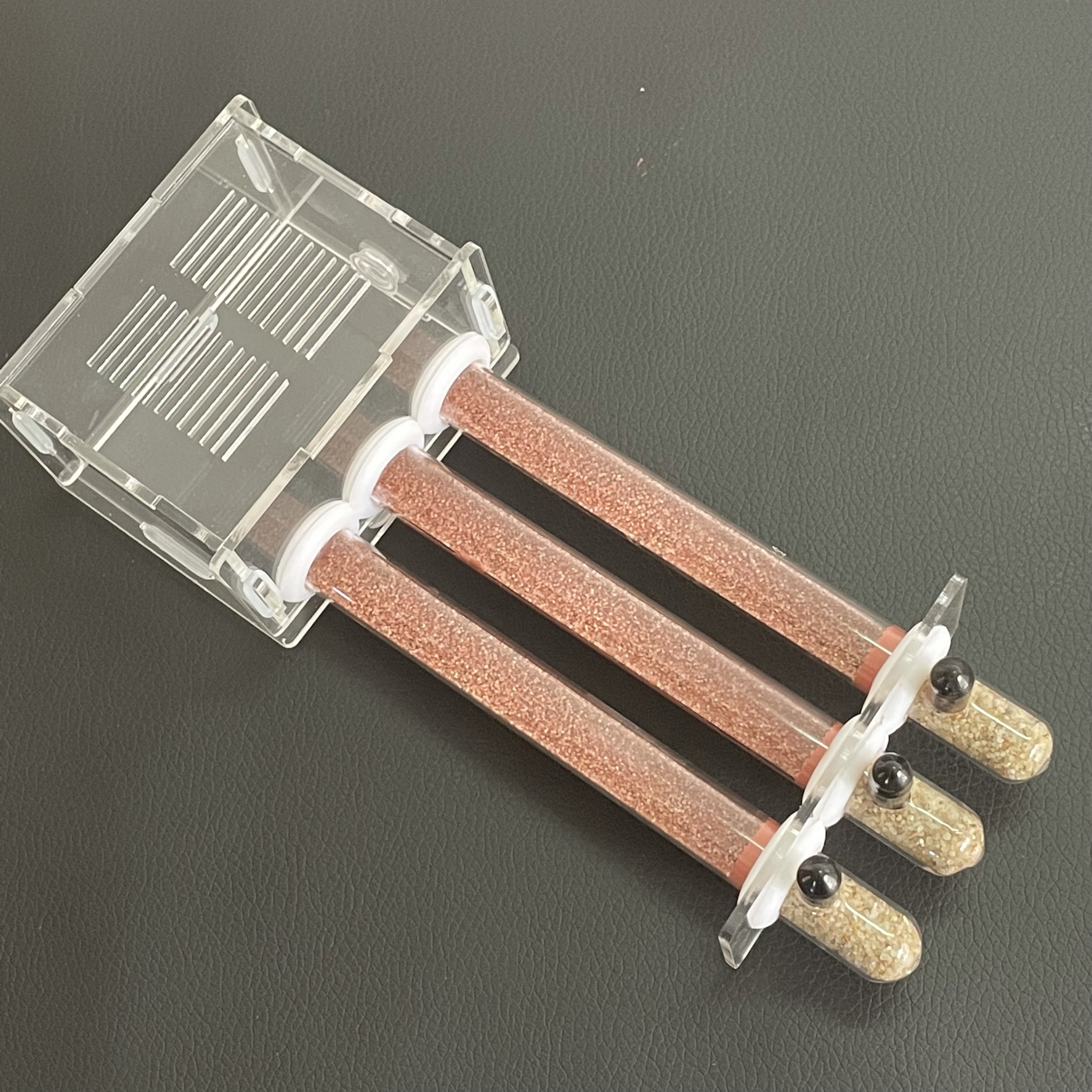 Ecological moisturing sand Ant - đánh giá và giá Begonia Rex