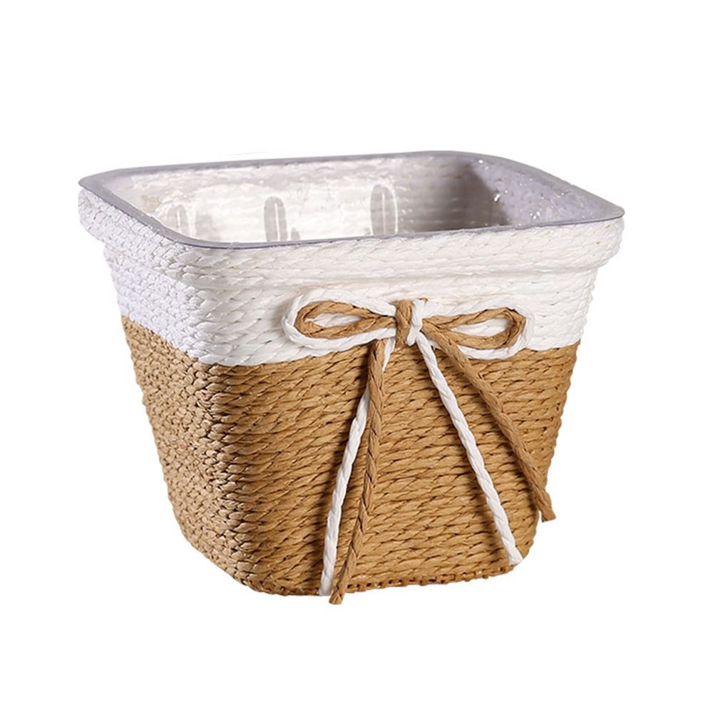 Paper Rope Braided Braided Flo - đánh giá và giá Aloe Vera Pot