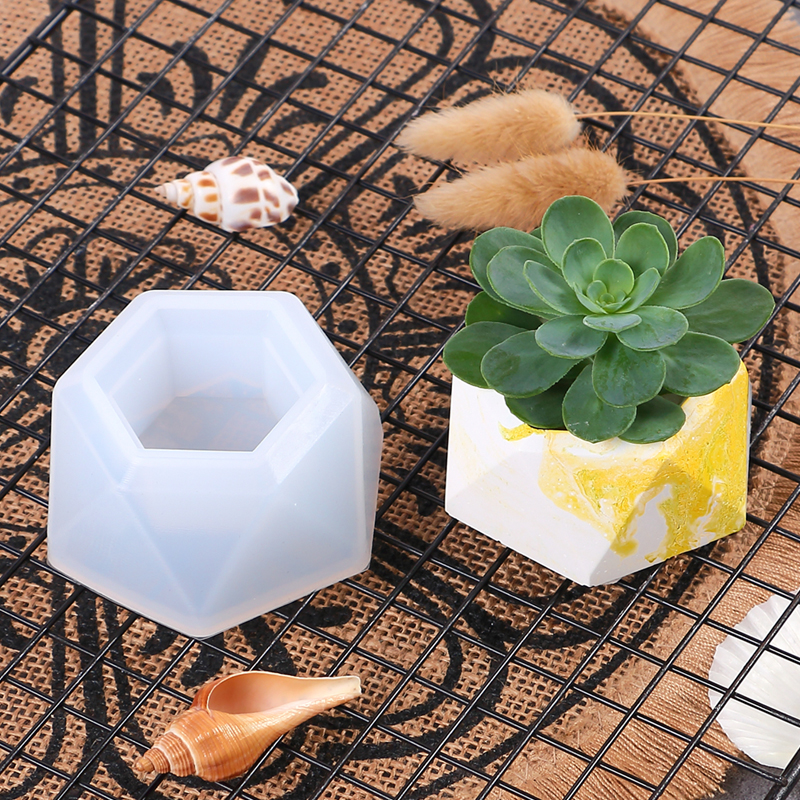 Succulent Flowerpot Silicone M - đánh giá và giá Echeveria Succulent