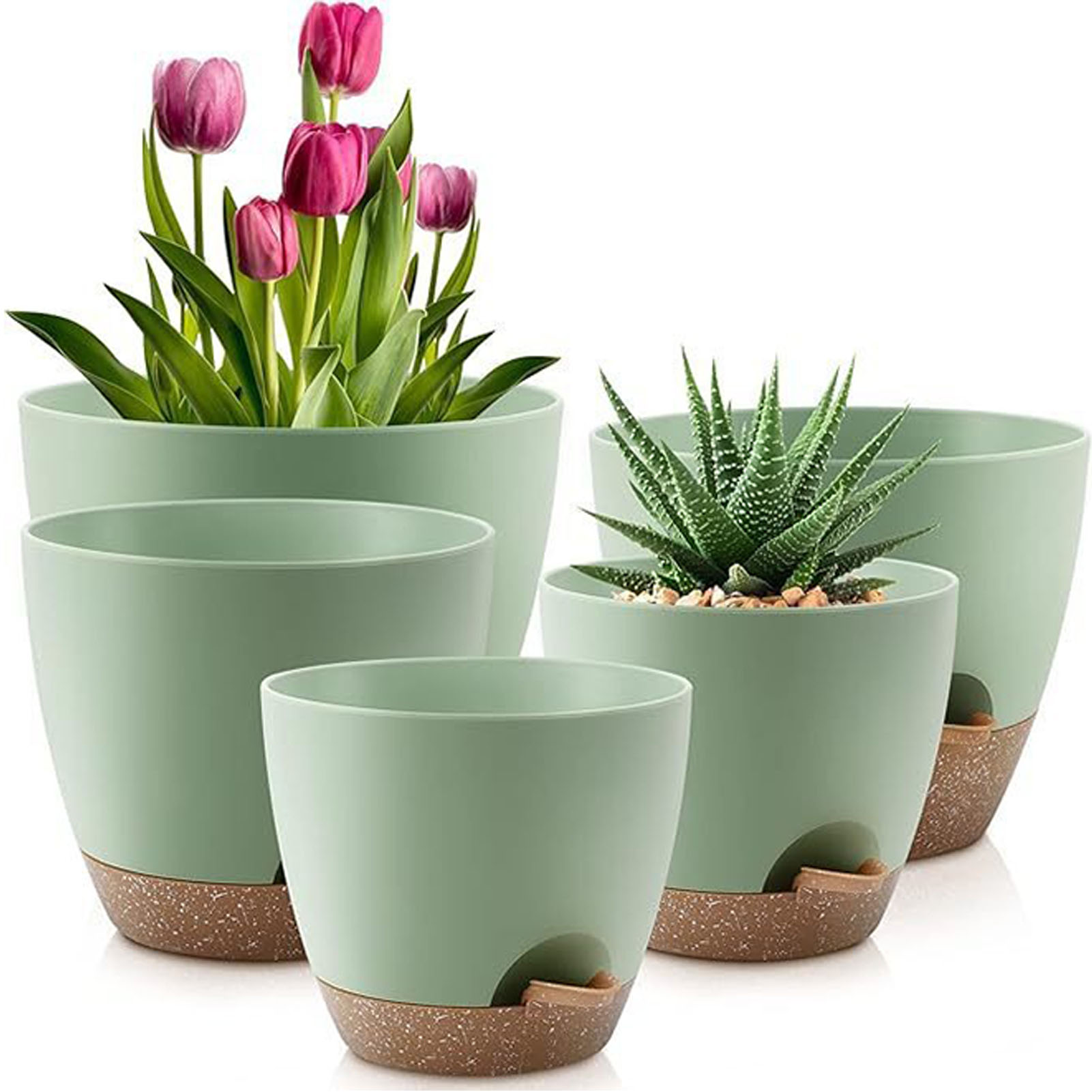 5piece Indoor Flower Pots With - đánh giá và giá Aloe Vera Pot