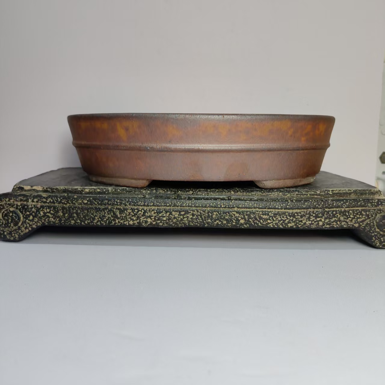 Hot sale Oval Shape Wood-fired - đánh giá và giá Pilea Peperomioides