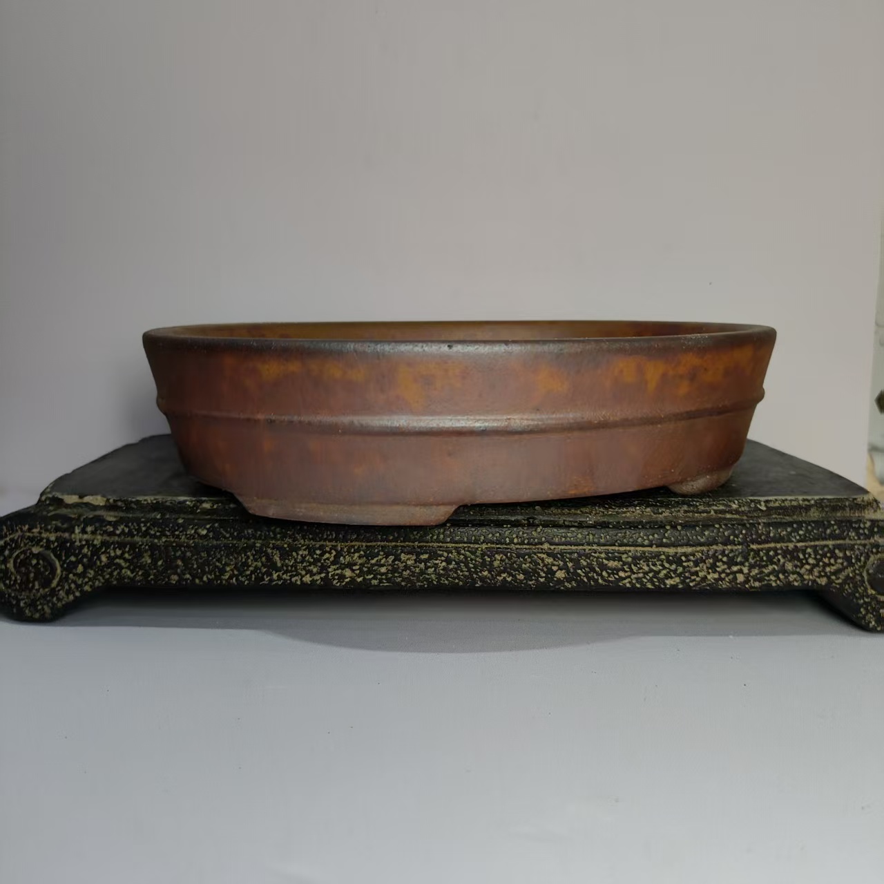 Hot sale Oval Shape Wood-fired - đánh giá và giá Pilea Peperomioides