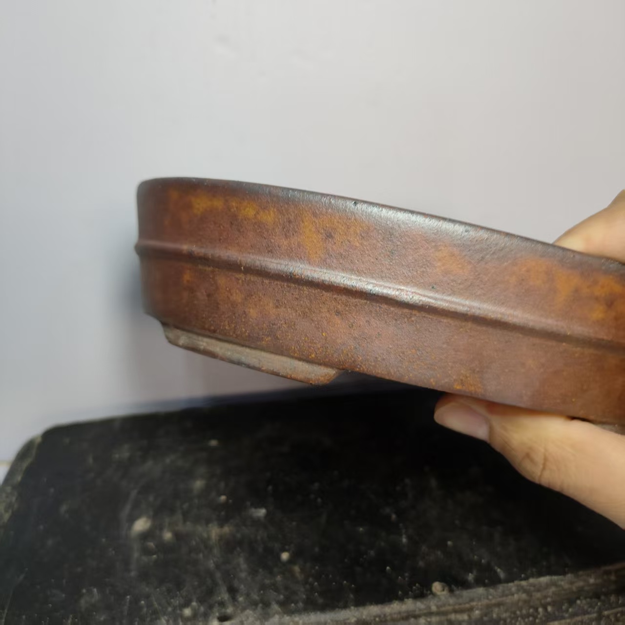 Hot sale Oval Shape Wood-fired - đánh giá và giá Pilea Peperomioides
