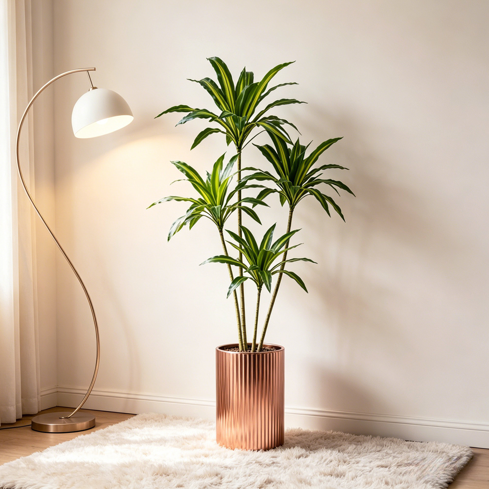 80-165cm Large Artifcial Draca - đánh giá và giá Dracaena Marginata