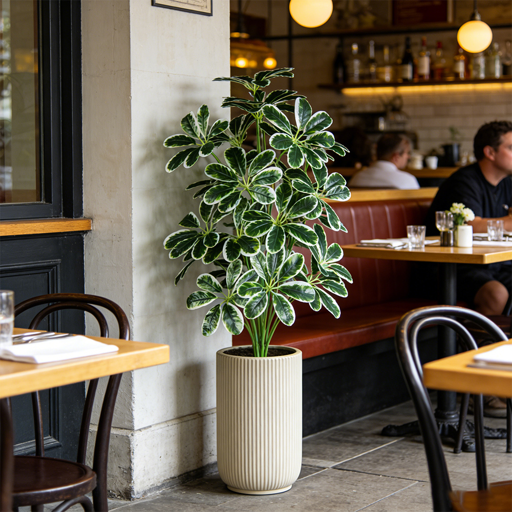 50-75cm Artifficial Maranta Pl - đánh giá và giá Dracaena Marginata