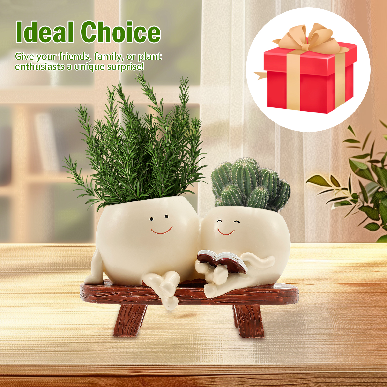 Smile Face Planter Resin Flowe - đánh giá và giá Echeveria Succulent
