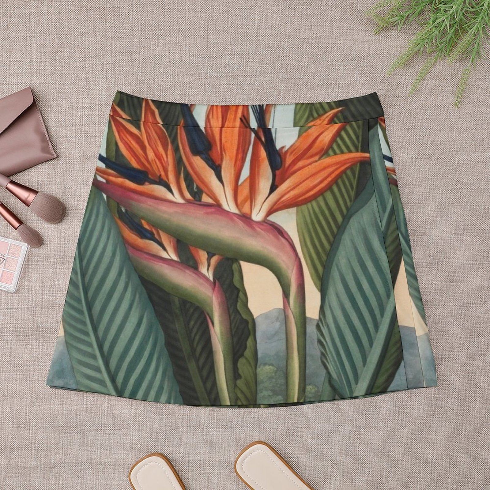 Botanical illustration: Bird o - đánh giá và giá Bird Paradise Strelitzia