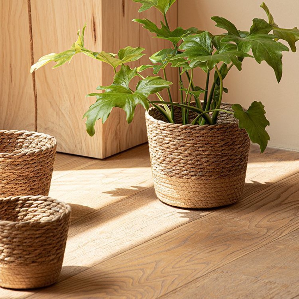 Straw Weaving Flower Plant Pot - đánh giá và giá Aloe Vera Pot