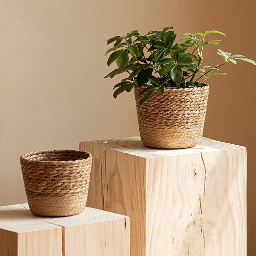 Straw Weaving Flower Plant Pot - đánh giá và giá Aloe Vera Pot