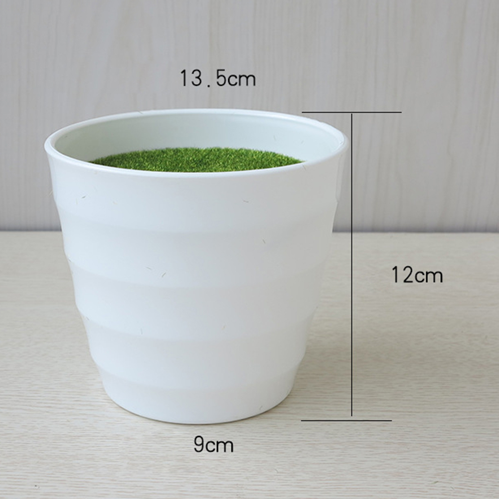 Artificial Pot Plants Pot Nurs - đánh giá và giá Aloe Vera Pot