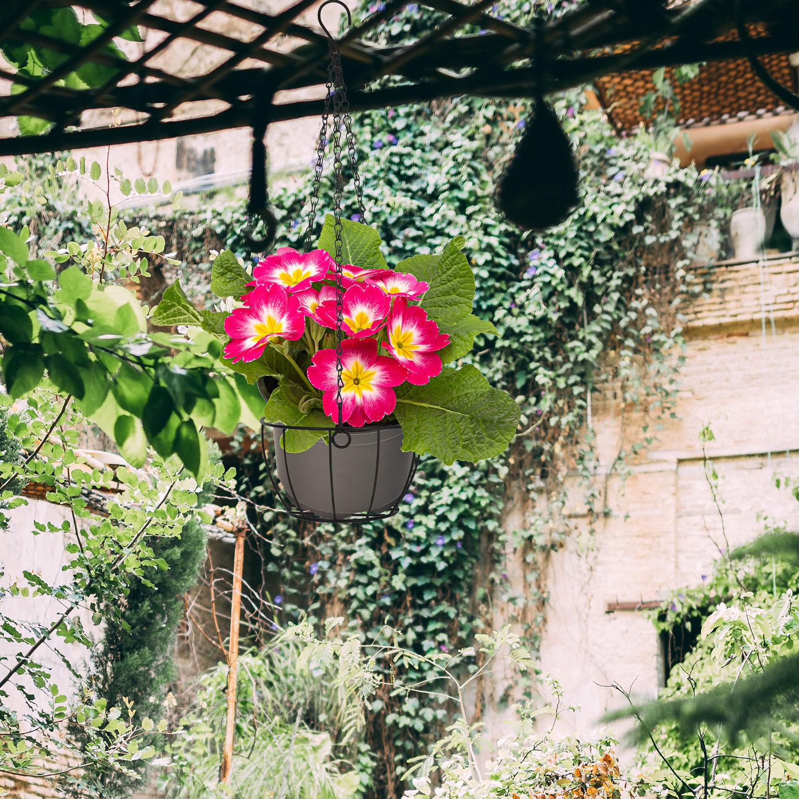 1Pc Iron Hanging Basket Flower - đánh giá và giá Spider Plant Hanging