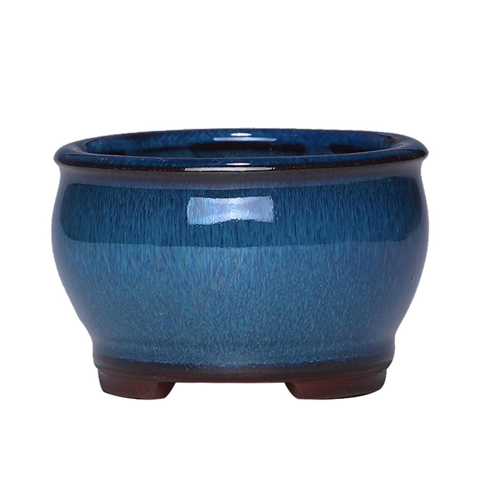 Ceramic Garden Planter Pots Ce - đánh giá và giá Pilea Peperomioides