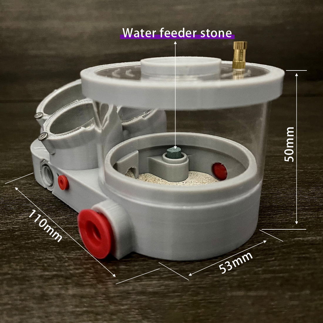 【Three Body】Ant Farm with Wate - đánh giá và giá Begonia Rex