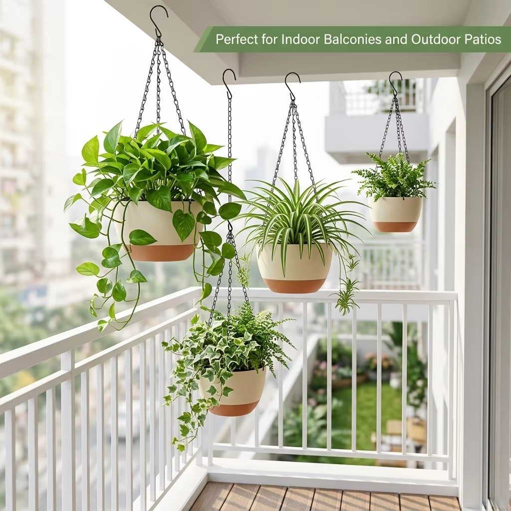 Modern Everyday Dual-Color Han - đánh giá và giá Spider Plant Hanging