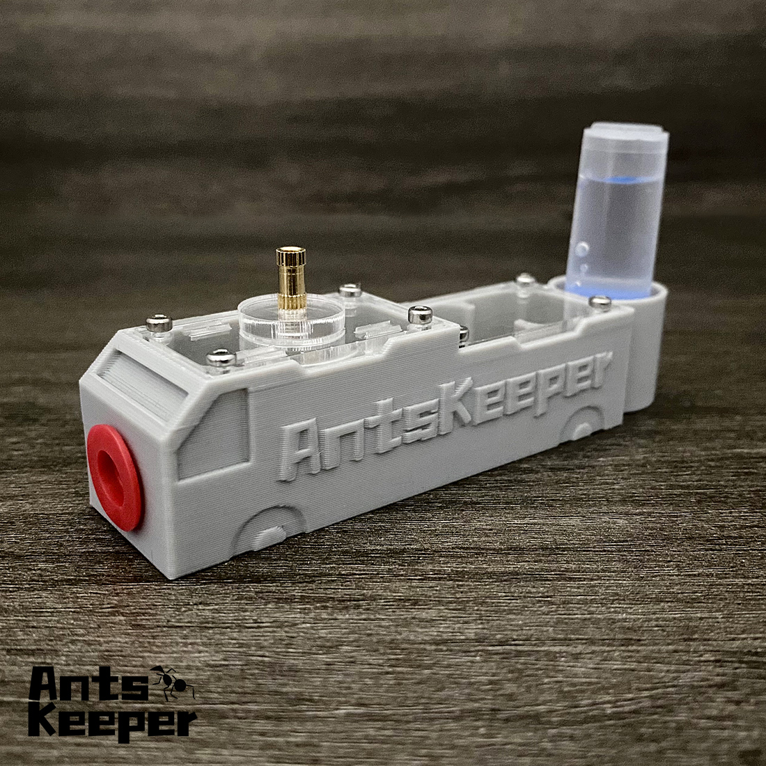 【Truck】Ant Farm for Ants keepe - đánh giá và giá Begonia Rex