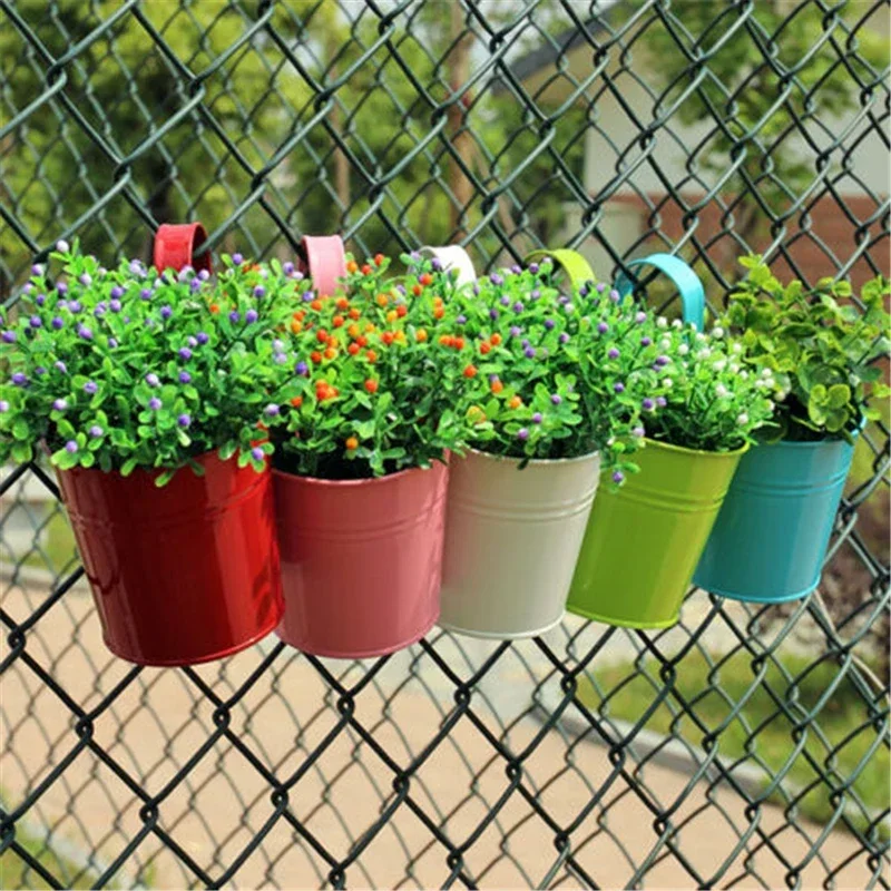 10 Colors Metal Iron Flower Wa - đánh giá và giá Echeveria Succulent