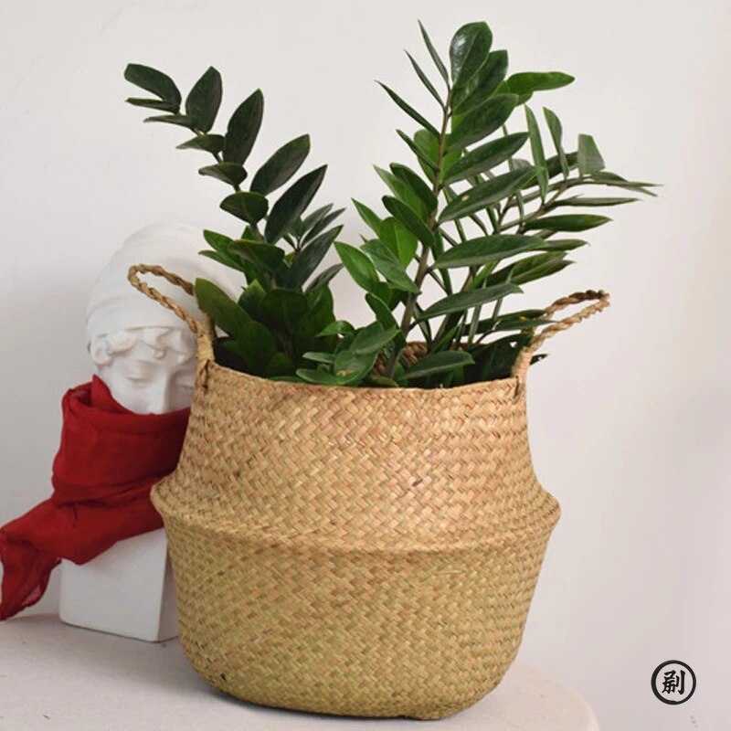 Wicker Basket Toy Organizer Fo - đánh giá và giá Aloe Vera Pot