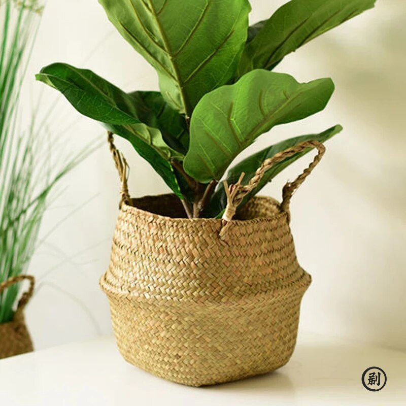 Wicker Basket Toy Organizer Fo - đánh giá và giá Aloe Vera Pot