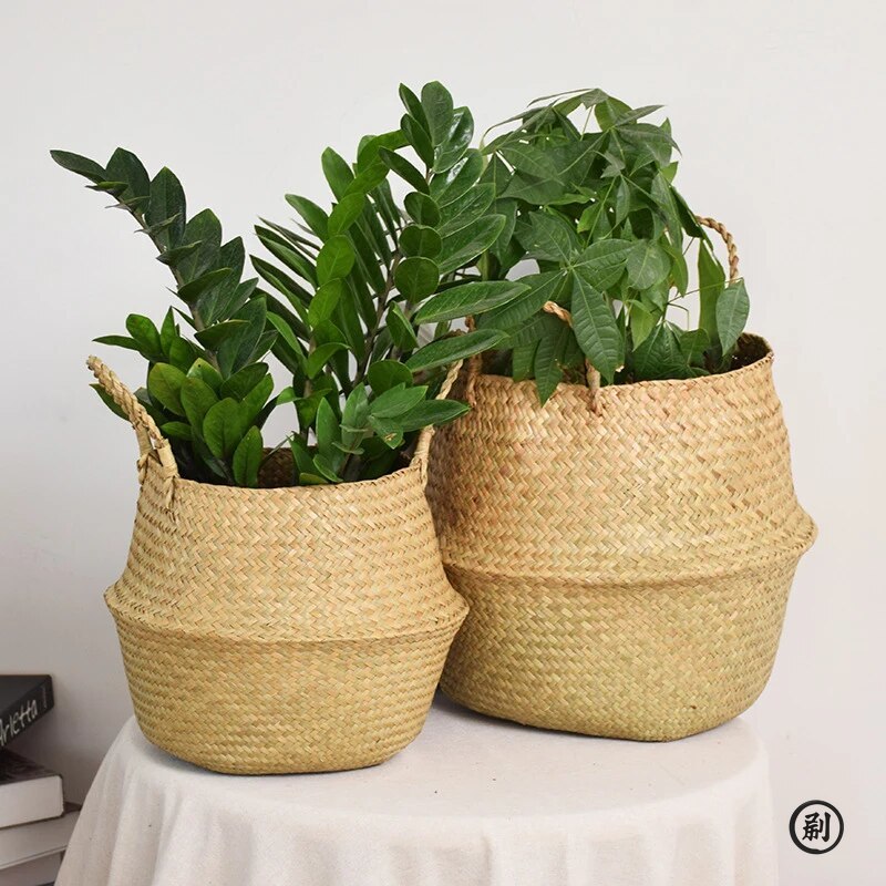 Wicker Basket Toy Organizer Fo - đánh giá và giá Aloe Vera Pot